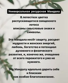 Мандала женского Благополучия №2 — фото 5